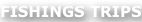 shapeimage_2_link_0